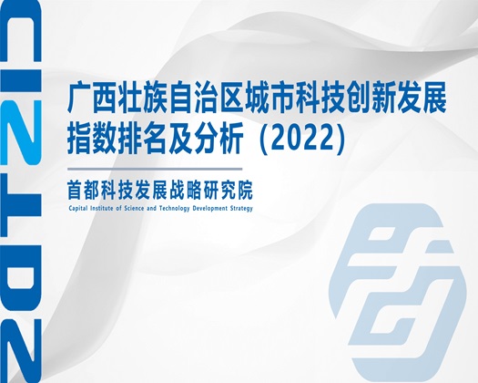 大鸡吧猛操B91【成果发布】广西壮族自治区城市科技创新发展指数排名及分析（2022）